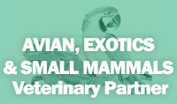 Avian, Exotics & Small Mammals Veterinary Partner